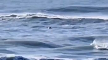 El guardavidas, lejos de socorrer a la víctima, decidió filmarla y burlarse. El guardavidas, lejos de socorrer a la víctima, decidió filmarla y burlarse.