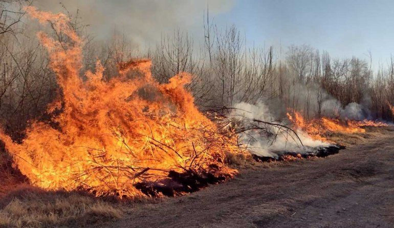Voraz incendio en una chacra de Fernández Oro