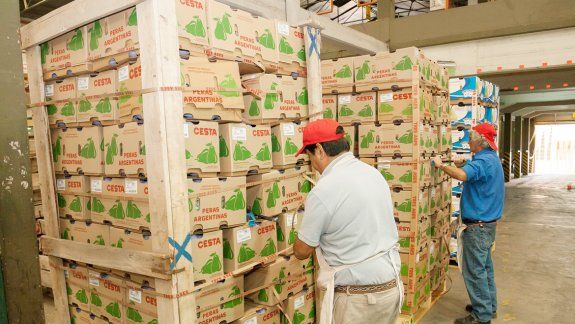 El último embarque a China partió hace una semana, con más de 100 mil kilos de fruta fresca.