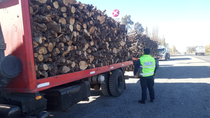La policía secuestró 15 kilos de leña que no contaban con autorización de transporte sobre ruta nacional 22.