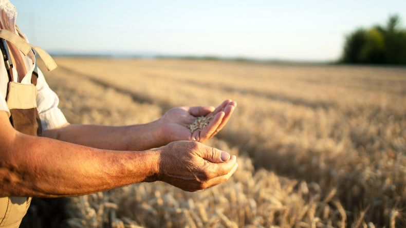 El campo volverá a auxiliar al Gobierno con esta mayor liquidación proyactada.