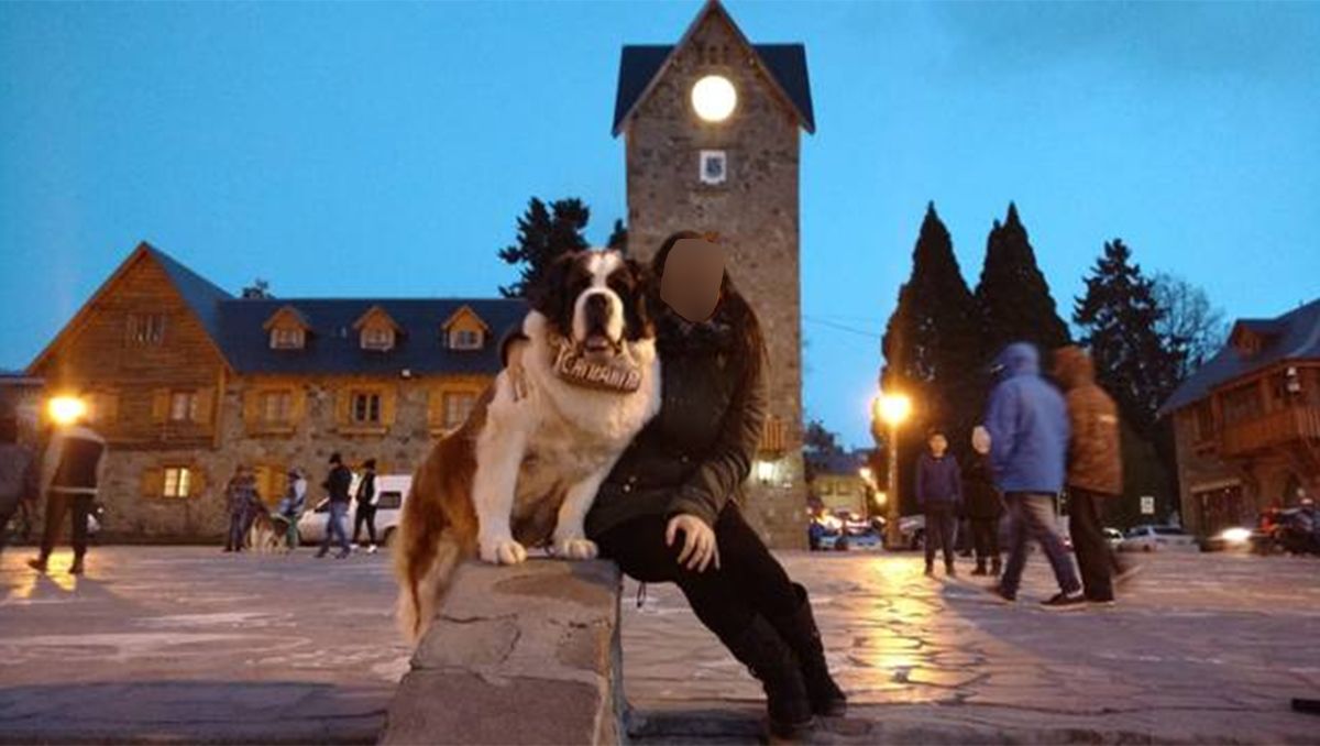 Uno de los ejemplares que utilizan para tomar fotos a los turistas atacó a un perro Salchicha.&nbsp;