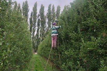 Productores preocupados por los nuevos impuestos que quiere implantar el Gobierno.