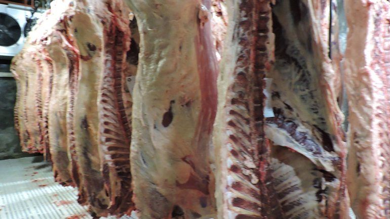 Las exportaciones de carne vacuna rionegrina hacia China aumentaron en los primeros meses del año.