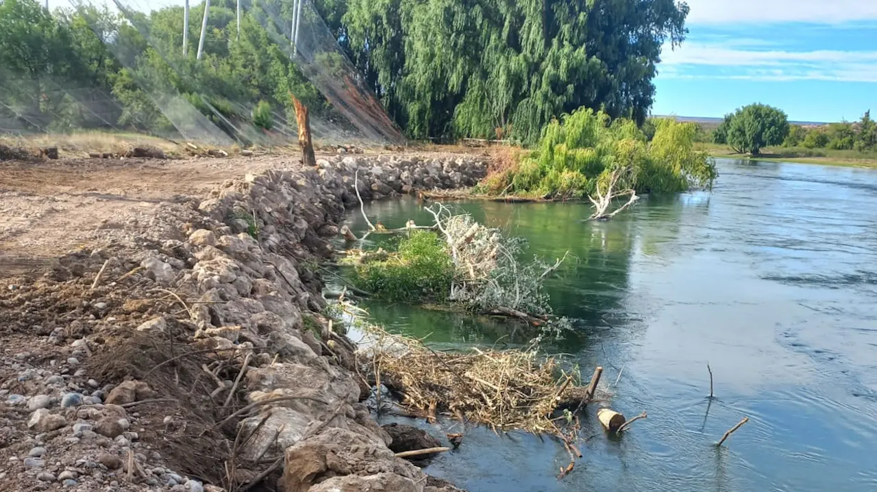 Extienden la costa de Allen para proteger una reserva de aves