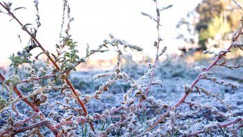 el pronostico del tiempo en la region: frio y soleado