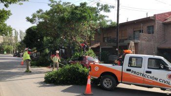 arboles caidos y 5 amenazas de bomba pusieron en alerta al valle