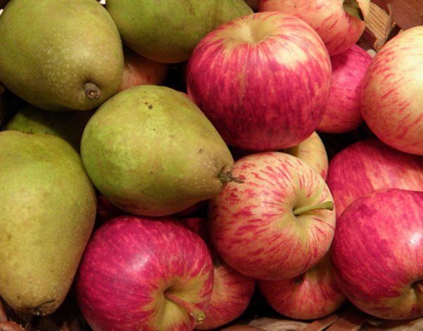 Esta iniciativa podría destrabar la venta de peras y manzanas que se encuentran en los frigoríficos de la región del Alto Valle. 