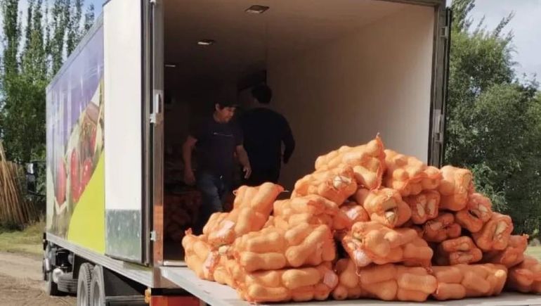 Comedores escolares de Cipolletti reciben hortalizas de productores regionales