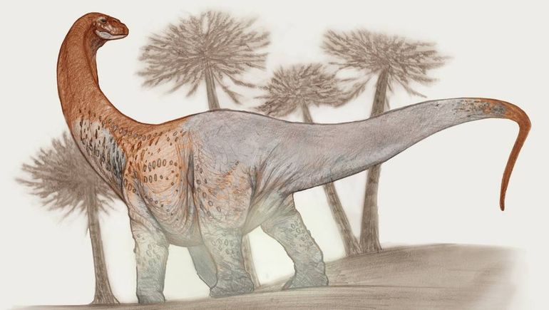 El dino gigante que habitó Río Negro: medía 30 metros y pesaba 50 toneladas