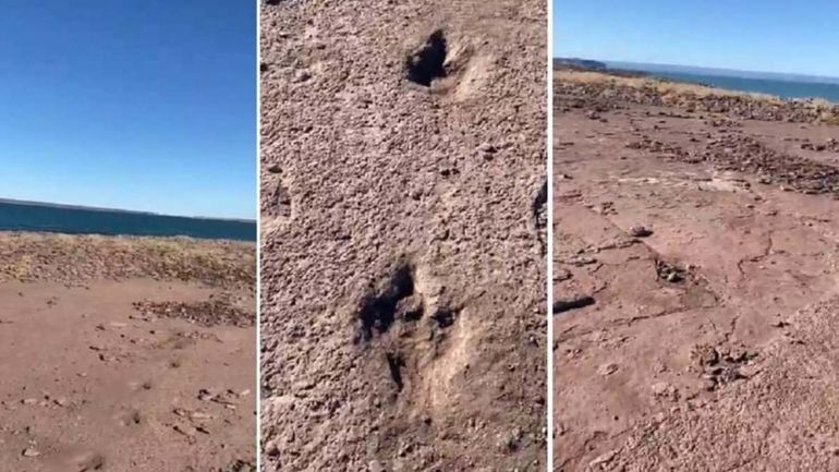 Pescaban en El Chocón ¡y encuentran huellas de Dinosaurios!