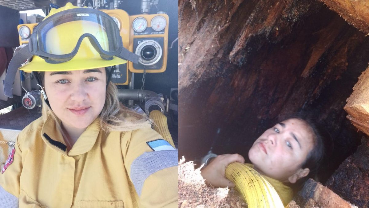 La bombera que se metió dentro de una araucaria para apagar un incendio