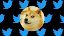 sorpresa: twitter cambia su logo por un perrito