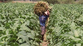 Una sociedad rural retiró insumos sin pagar y deberá afrontar un pagaré de más de 200 mil dólares. Una sociedad rural retiró insumos sin pagar y deberá afrontar un pagaré de más de 200 mil dólares.