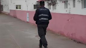 Personal del Gabinete de Criminalística realizó los trabajos periciales en el establecimiento educativo. Buscan rastros dactilares de los ladrones, como también imágenes de cámaras de seguridad. | LMCipolletti.com Personal del Gabinete de Criminalística realizó los trabajos periciales en el establecimiento educativo. Buscan rastros dactilares de los ladrones, como también imágenes de cámaras de seguridad.
