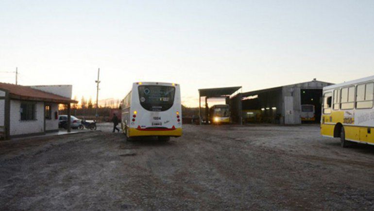 Sin colectivos en Neuquén por una protesta de madres