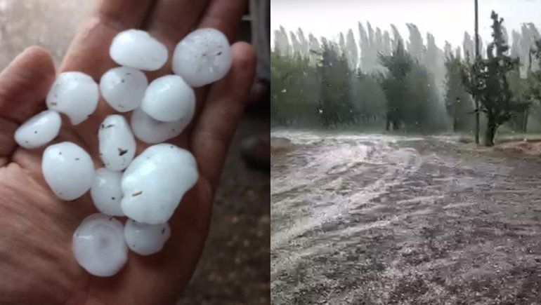La caída del granizo afectó la zona ribereña de Cipolletti y General Roca. La caída del granizo afectó la zona ribereña de Cipolletti y General Roca. 