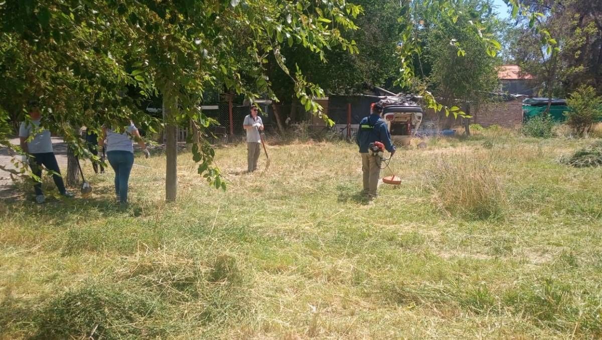 Vecinos del Distrito Vecinal exigen que la Muni limpie los yuyos