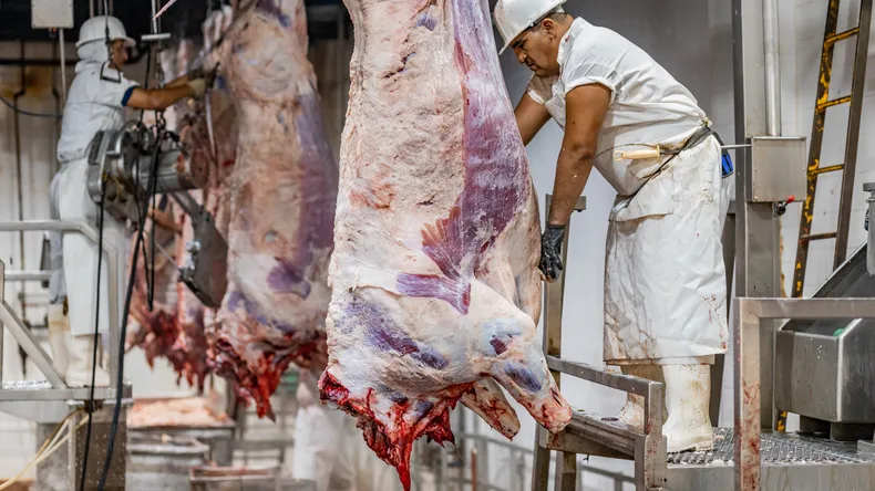 Septiembre tuvo una caída de faena diaria del orden del 8% cuando se lo compara con el mes anterior.