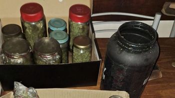 Varios frascos con casi medio kilo de marihuana y una planta de la misma especie encontraron bomberos en una casa que se incendiaba en Viedma. 