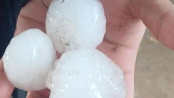 El tamaño más grande del granizo se pudo observar en ciertas mangas que cayeron entre Cipolletti y Allen. 