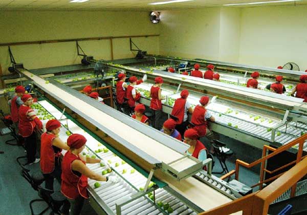 Nuevo fracaso en la paritaria del Empaque