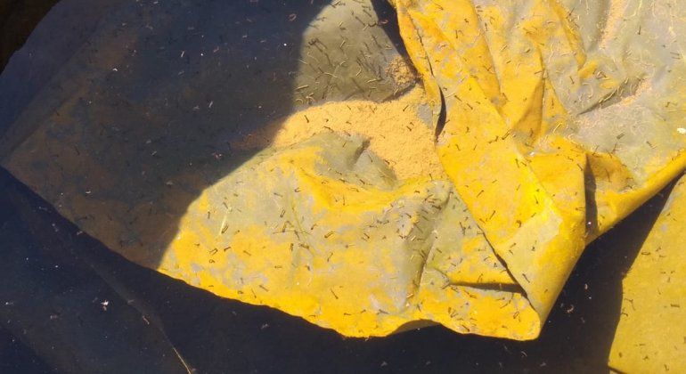 El agua para consumo personal en el Senaf es un caldo de cultivo de todo tipo de bichos