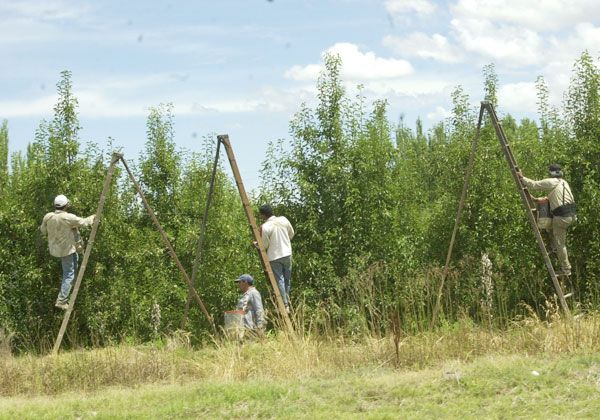 Renatre cuenta con nuevo presidente