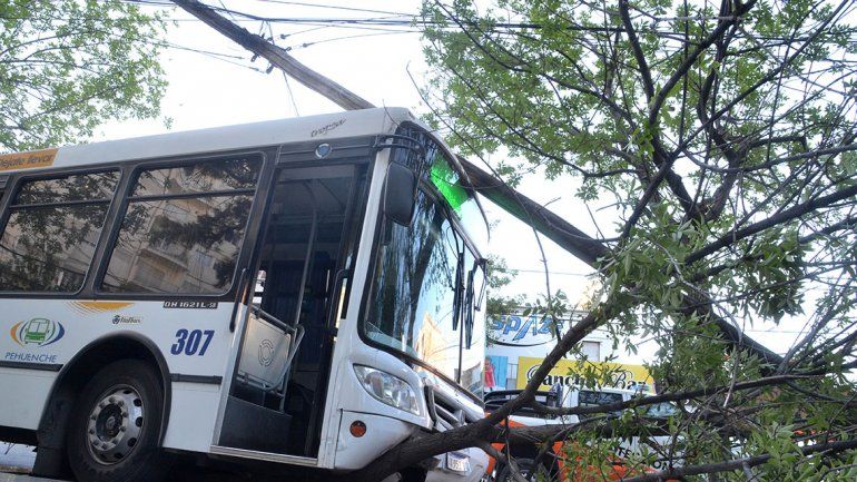 Micro sin control terminó dentro de la plaza San Martín