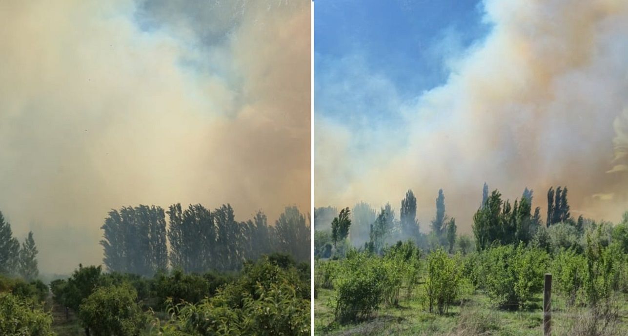 La columna de humo del incendio de Cinco Saltos se pudo observar desde varios kilómetros. Fotos gentileza Seny Radio.