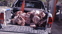 La Policía de Río Necro incautó dos toneladas de carne en mal estado que se vendía en Cipolletti.