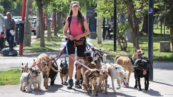 Gabriela, en pleno paseo con las mascotas este jueves en el centro cipoleño. Foto Anahí Cárdena.