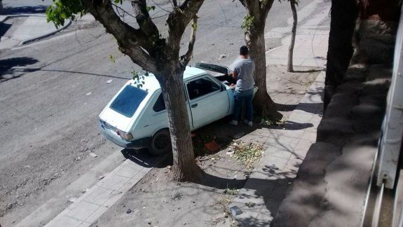 Chocó contra un árbol y escondió las botellas de alcohol para zafar de la multa 