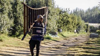 A semanas de dar inicio la cosecha en el Valle, no hay definición sobre los salarios. A semanas de dar inicio la cosecha en el Valle, no hay definición sobre los salarios.