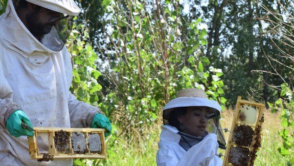 Miel: un proyecto a pequeña escala desde Villa Regina