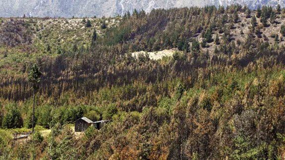 Entregan ayuda a productores de El Bolsón