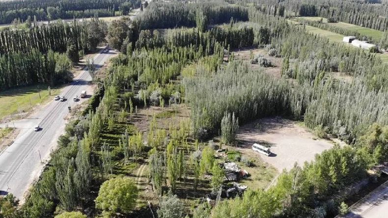La “transición agroalimentaria, es difícil separarla de la energética”, dice González.