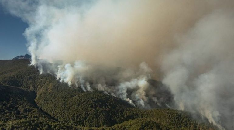 Los siniestros afectaron 3800 hectáreas en el Área Natural Protegida Río Azul- Lago Escondido. De la totalidad de superficie afectada, 2100 hectáreas pertenecen a bosque nativo, plantaciones forestales, humedales  y 220 viviendas fueron damnificadas.