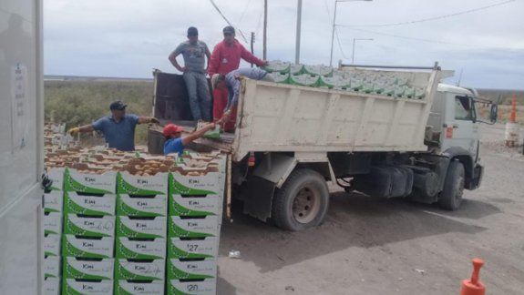 Donaron 8 toneladas de kiwis que iban a ser vendidos en Cipolletti