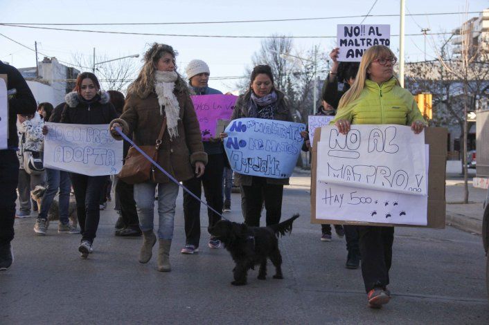 Vecinos cipoleños marcharon por los perros callejeros