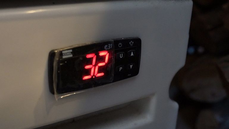 Semana Santa: qu&eacute; tener en cuenta a la hora de consumir pescado