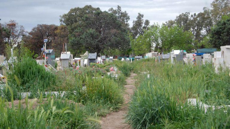 En el cementerio proliferan yuyos