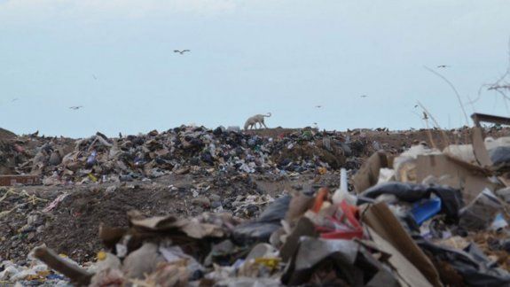 Son muchos los que buscan materiales para reciclar en el basural.