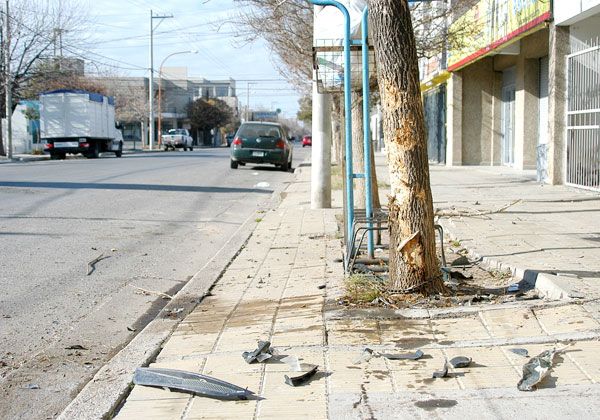 Conductor alcoholizado chocó contra un árbol