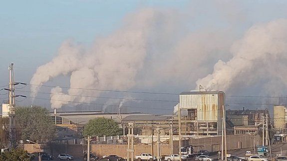 Temor por el intenso humo que largan las papeleras