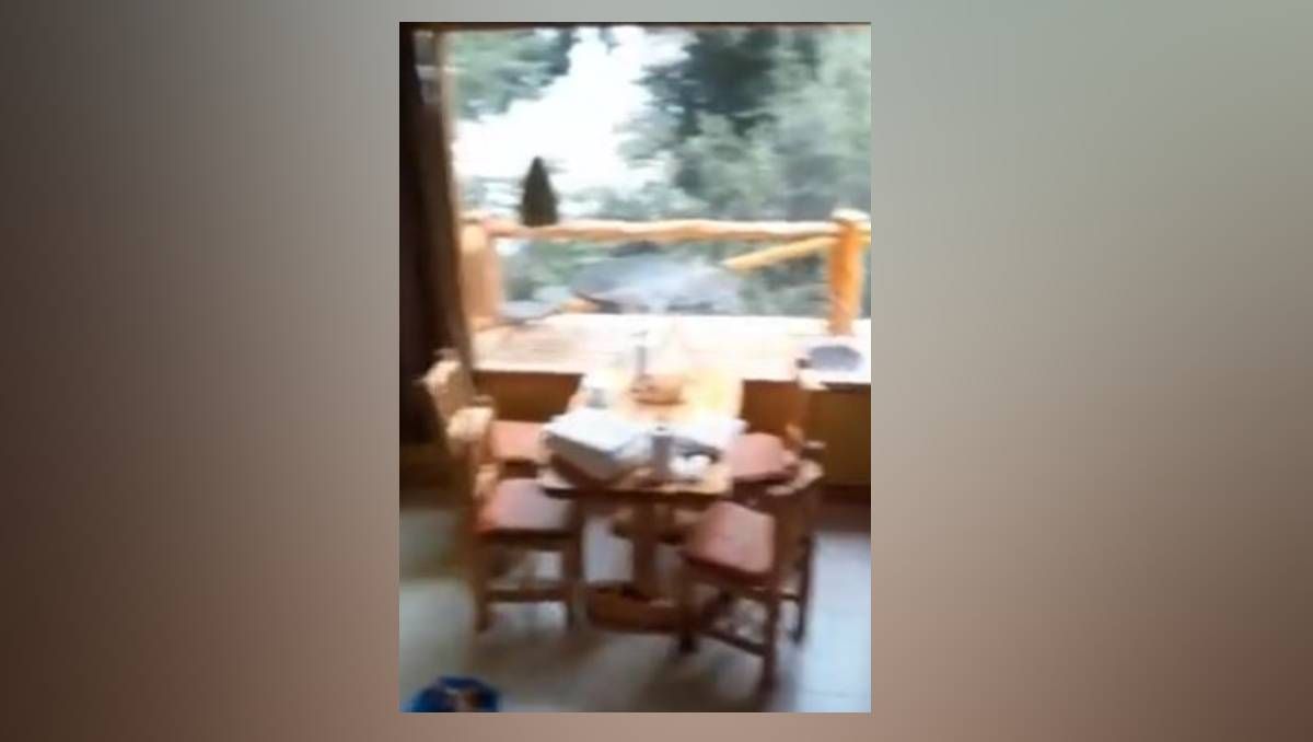 Graban en video la aparición de un duende en Bariloche