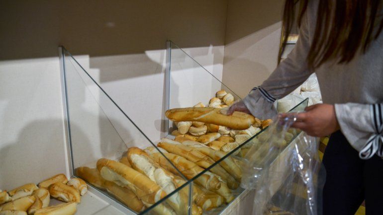 Panaderos de Centenario regalarán mil kilos de pan en la plaza de la ciudad