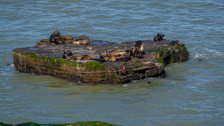 Foto: Matías Acuña.