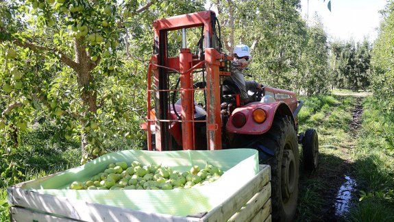 Peón rural cayó a un pozo y cobrará $265 mil de indemnización