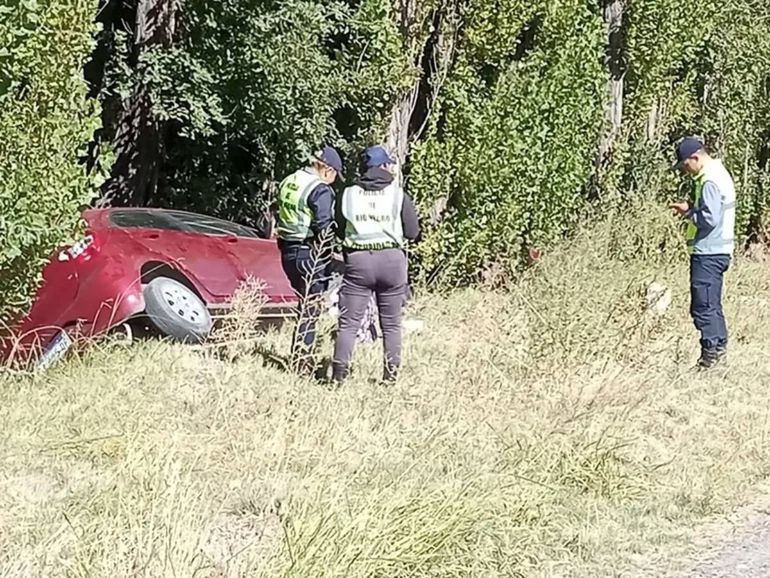 El auto impact&oacute; contra los &aacute;rboles.